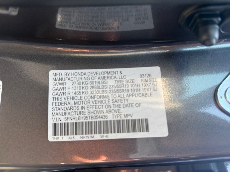 2026 Honda Odyssey Elite