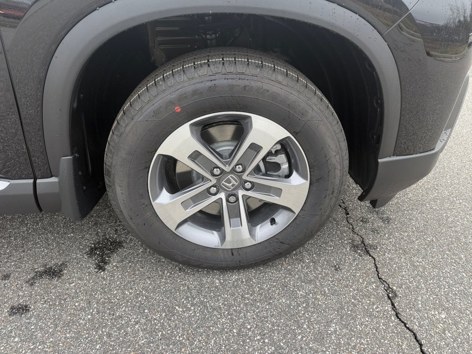 2026 Honda Pilot EX-L