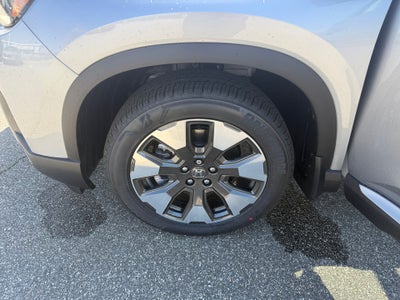 2026 Honda Pilot Touring