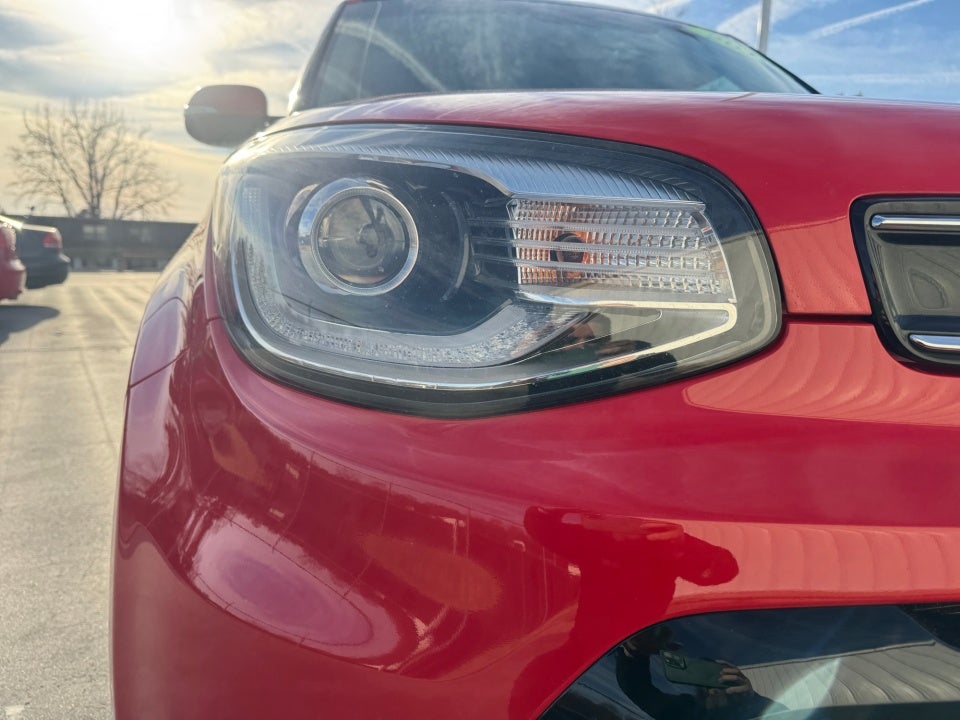 2019 Kia Soul !